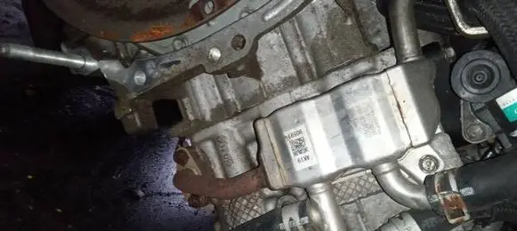 EGR valve cooler