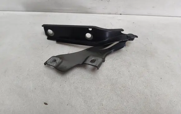 Volkswagen PASSAT B8 Engine bonnet/hood hinges 3G0823301