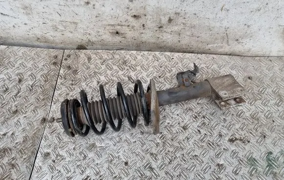 Renault Scenic III - Grand scenic III Front shock absorber with coil spring 543020017R