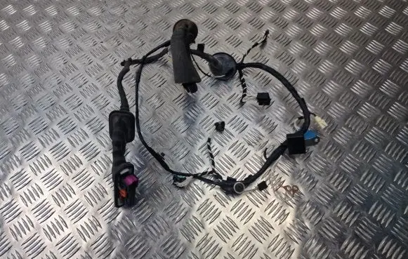Volkswagen Amarok Front door wiring loom 2H0970401