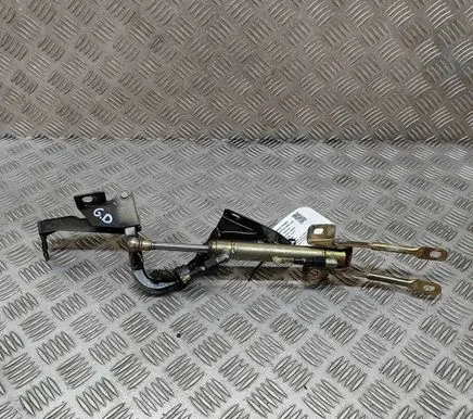 Tailgate/trunk/boot hinge