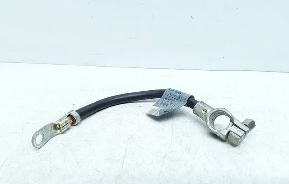 Mercedes-Benz B W245 Negative earth cable (battery) A1695406409