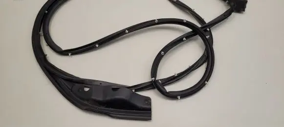 Ford F150 Rubber seal front coupe door ML341520530AC