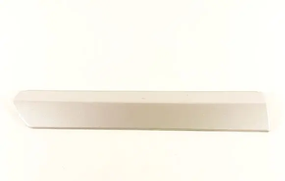 Rear door trim (molding)