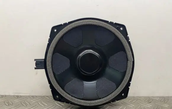 Land Rover Range Rover Sport L494 Front door speaker CPLA18808DA