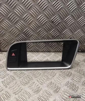 Radio/GPS head unit trim