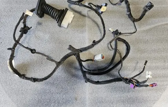 Front door wiring loom