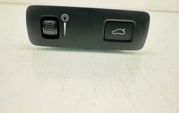 Tailgate opening switch