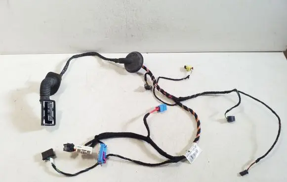 Front door wiring loom