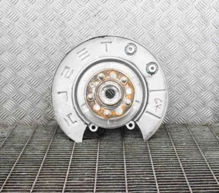 Tesla Model S Rear wheel hub 107216000A
