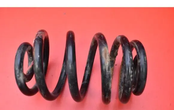 Rear coil spring