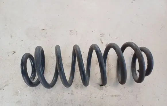 Rear coil spring