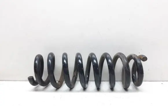 Rear coil spring