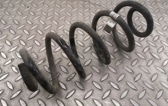 Rear coil spring