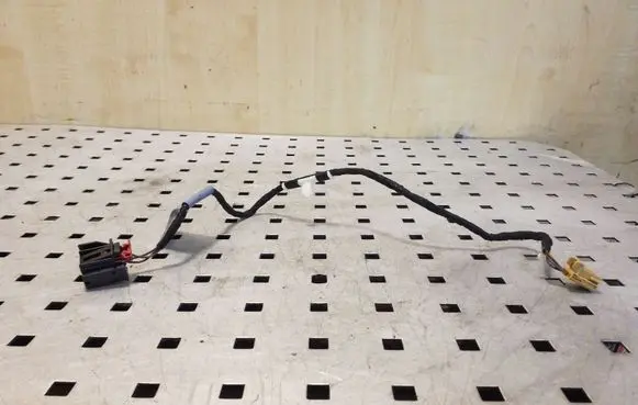 Rear door wiring loom
