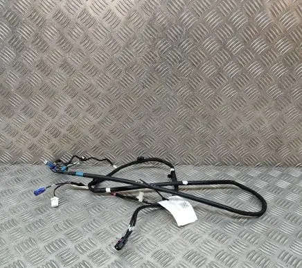 Tesla Model Y Other wiring loom 161669103D