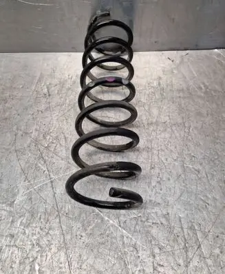 Rear coil spring