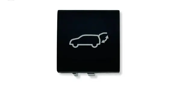 Toyota RAV 4 (XA50) Tailgate opening switch 