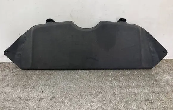 Nissan Juke I F15 Parcel shelf 