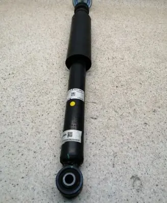 Dacia Spring Rear shock absorber/damper 562100090R