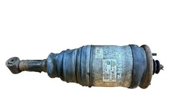 Land Rover Range Rover Sport L320 Rear shock absorber/damper RPD500184
