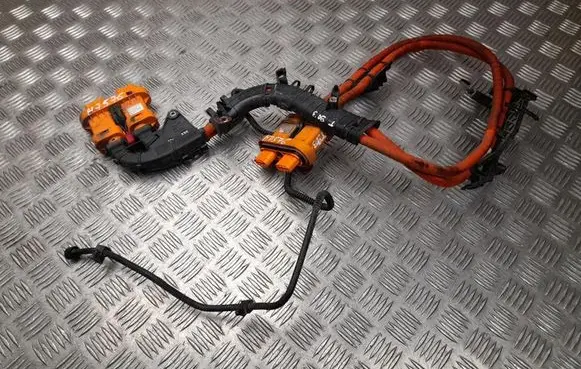 Volkswagen ID.3 Other wiring loom 1EA971015L