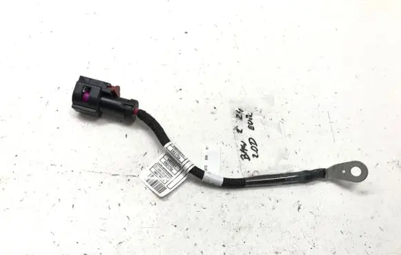 BMW 2 Active Tourer U06 Other wiring loom 8490501