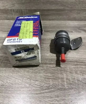 Pontiac Aztek Fuel filter 10290491 0818567