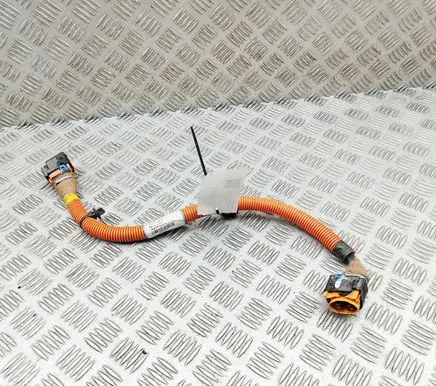 Renault Zoe Other wiring loom 240419193R