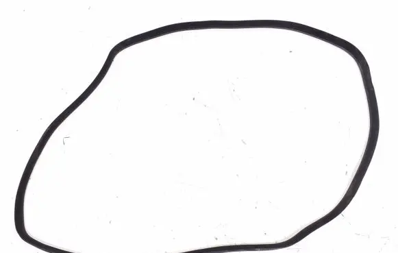 Rear door rubber seal (on body)
