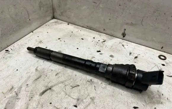 Hyundai Santa Fe Fuel injector 3380027010