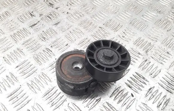 Peugeot 406 Timing belt/chain tensioner 
