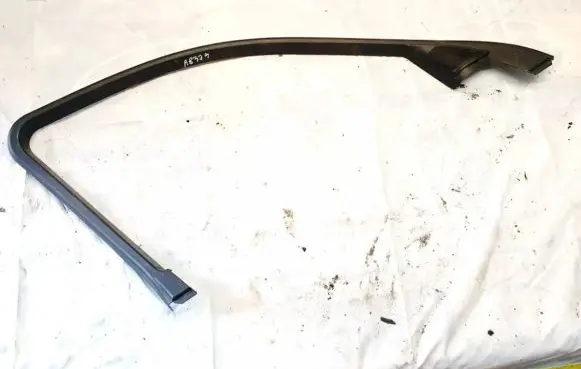 Other front door trim element