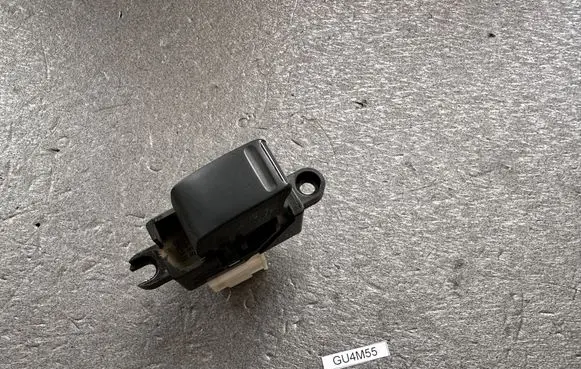 Nissan Patrol Y61 Electric window control switch 254110V000