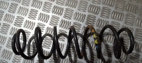 Skoda Fabia Mk1 (6Y) Rear coil spring