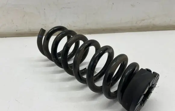 Rear coil spring