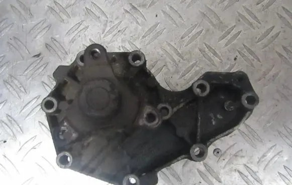 Renault 19 Water pump