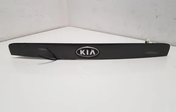 Trunk door license plate light bar