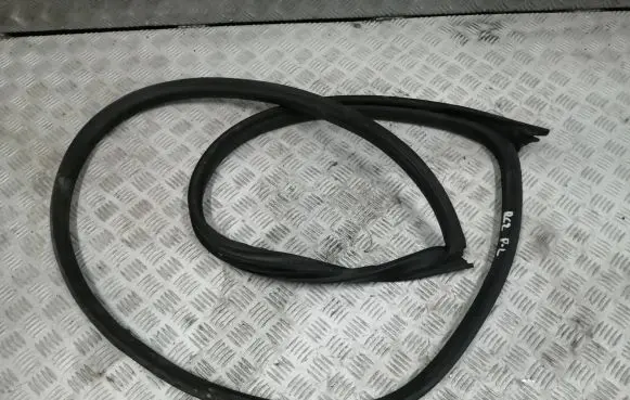 Peugeot RCZ Front door rubber seal 