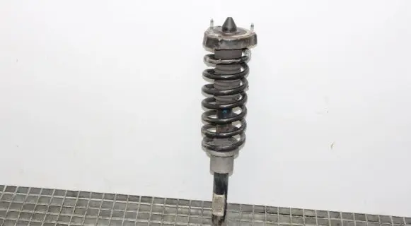 Mercedes-Benz CLS C219 Front shock absorber/damper A2193202013
