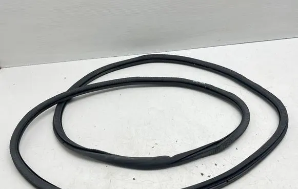 Porsche Panamera (970) Front door rubber seal 97053726602