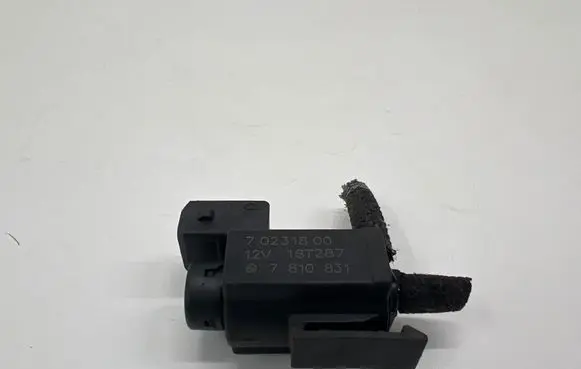 Vacuum valve