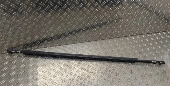 Rear door glass trim molding