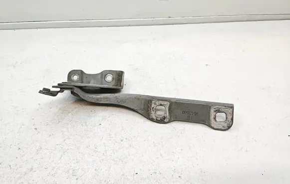Opel Mokka Engine bonnet/hood hinges 95421580