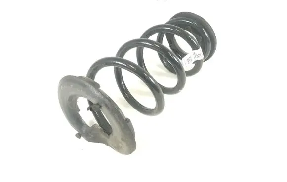 Rear coil spring