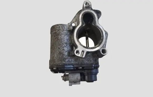 Renault Trafic II (X83) EGR valve A2C53179081