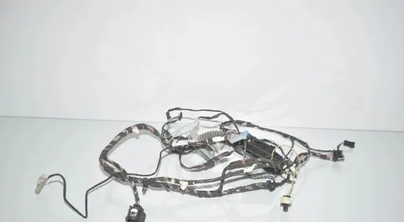 BMW X3 F25 Front door wiring loom 9252387 9252388 61129252388