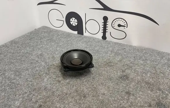 Land Rover Range Rover Evoque L538 Front door speaker BJ3218808BB 434107864261