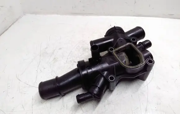 Thermostat/thermostat housing