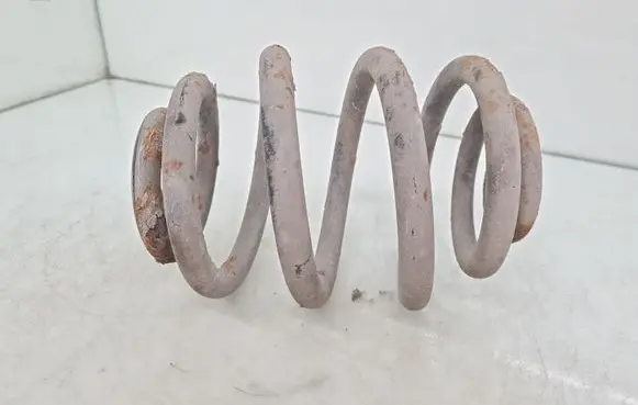 Rear coil spring